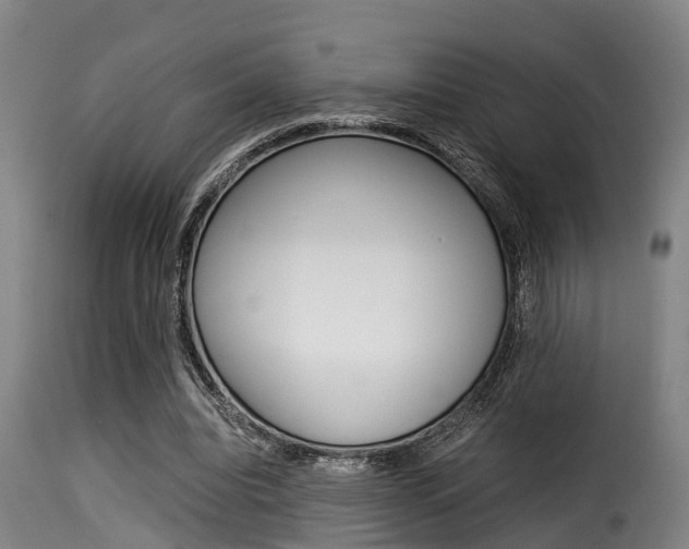 X0000116060440200911201204