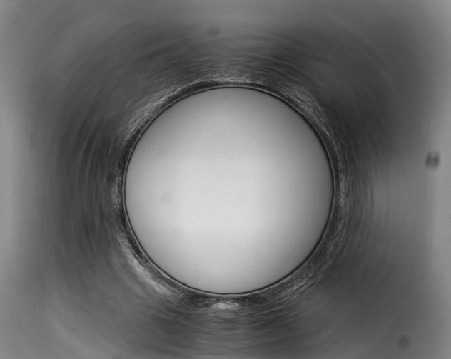 X0000116060441200911201204