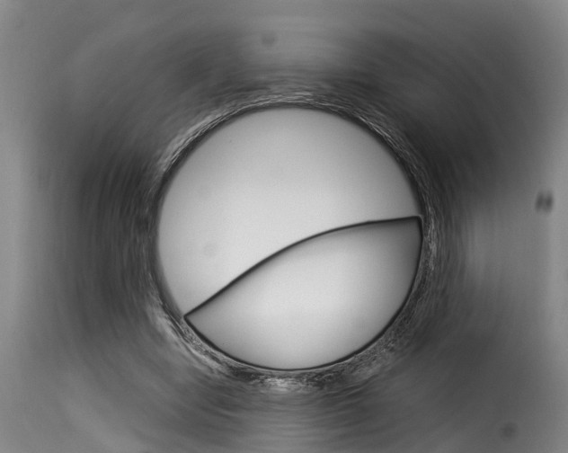 X0000116060442200911201204