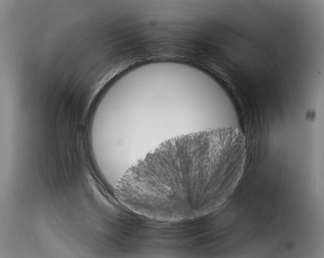 X0000116060443200911201204