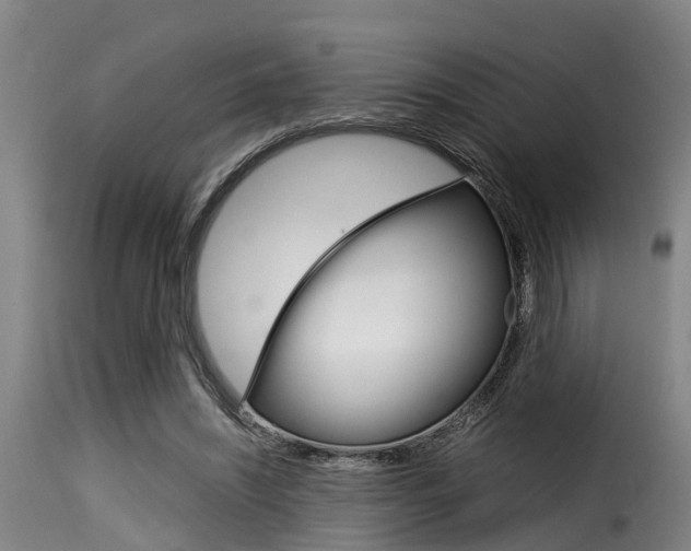 X0000116060444200911201204