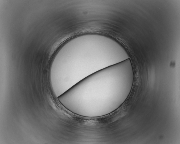 X0000116060446200911201204