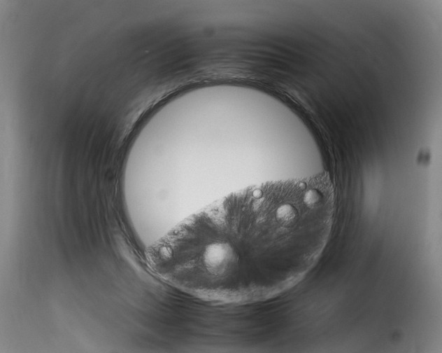 X0000116060447200911201204