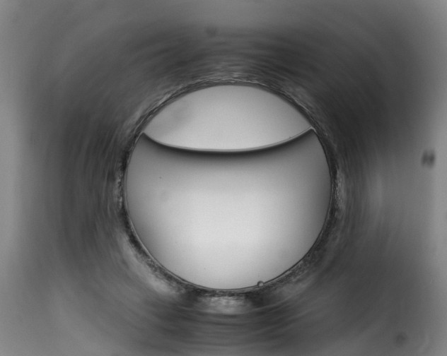 X0000116060449200911201204