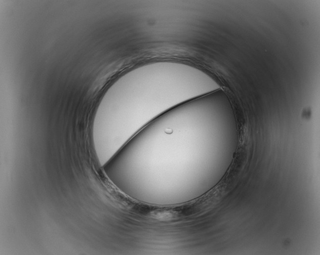 X0000116060452200911201204