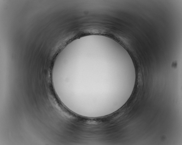 X0000116060453200911201204