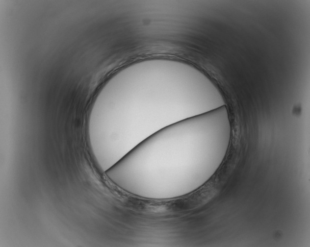 X0000116060454200911201204