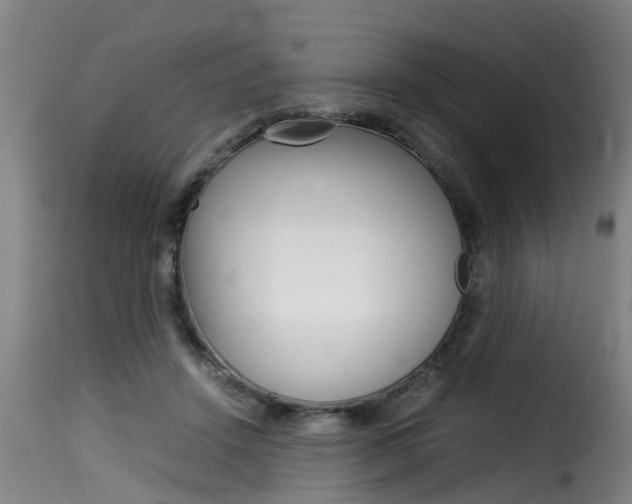 X0000116060456200911201204