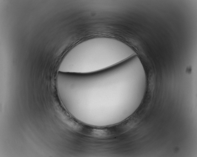 X0000116060457200911201204