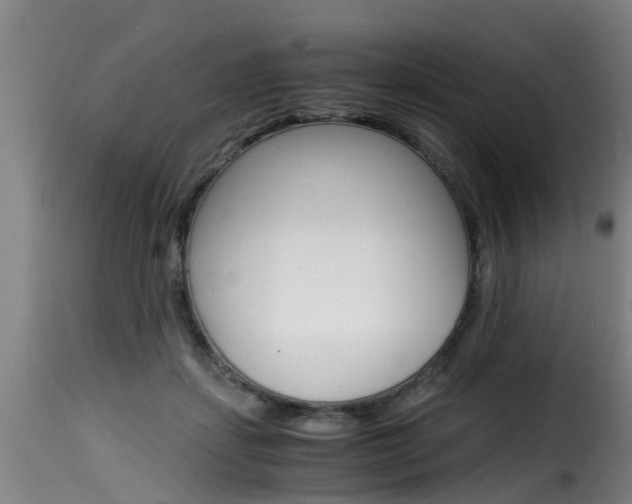 X0000116060459200911201204