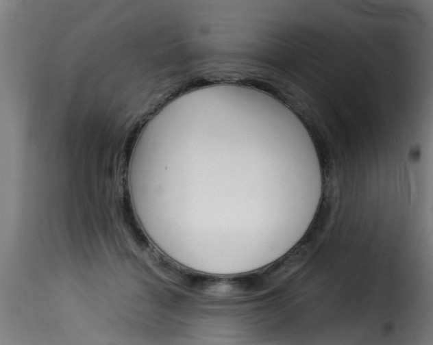 X0000116060460200911201204