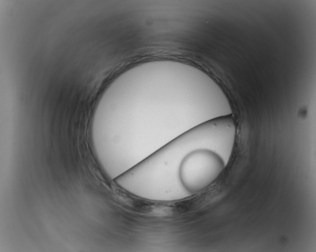 X0000116060462200911201204