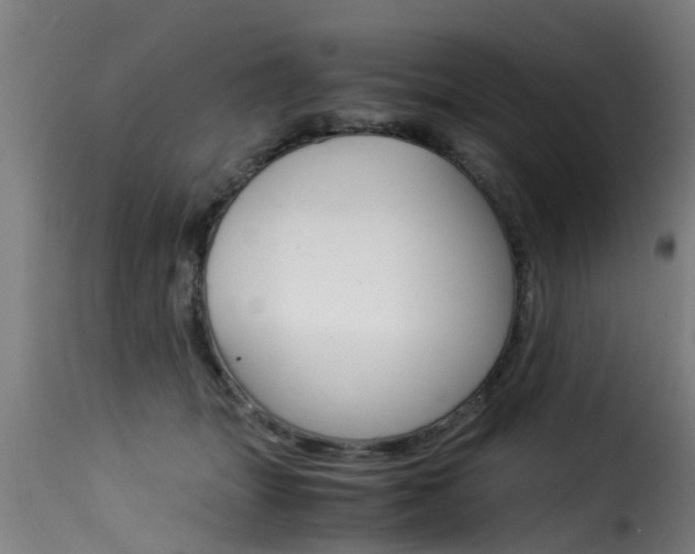 X0000116060463200911201204