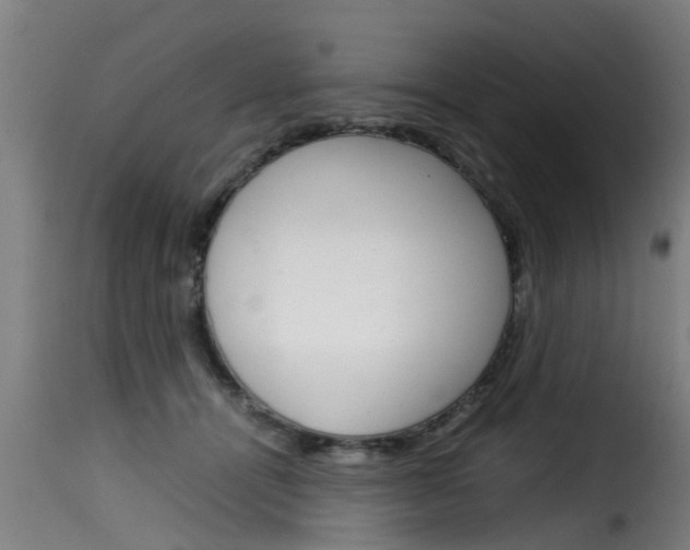 X0000116060464200911201205