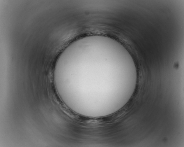 X0000116060465200911201205