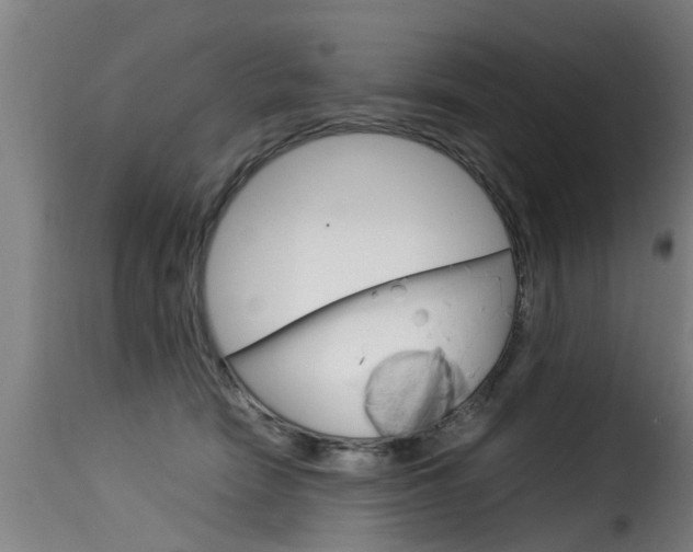 X0000116060466200911201205