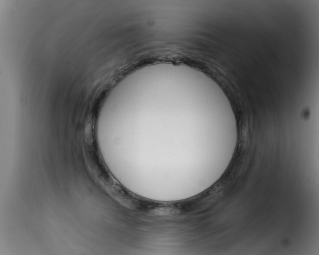 X0000116060468200911201205