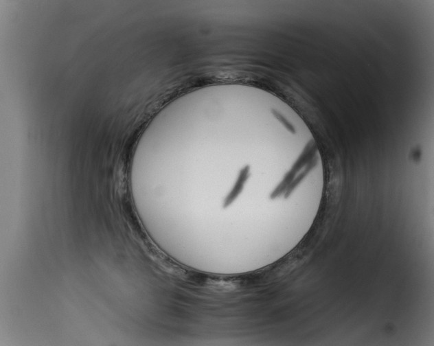 X0000116060469200911201205