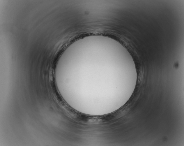 X0000116060470200911201205