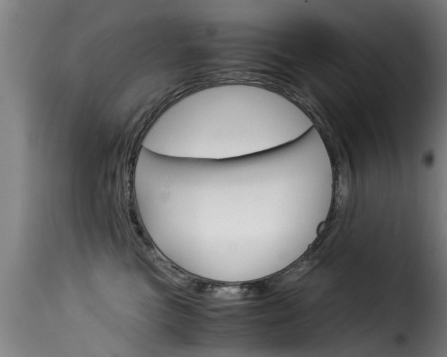 X0000116060473200911201205