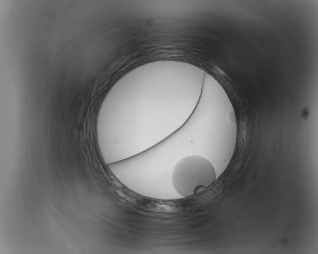 X0000116060475200911201205