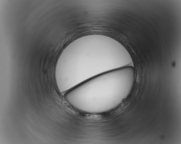 X0000116060476200911201205