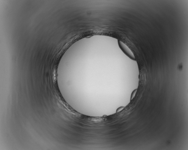 X0000116060479200911201205