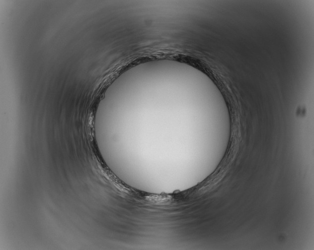 X0000116060480200911201205