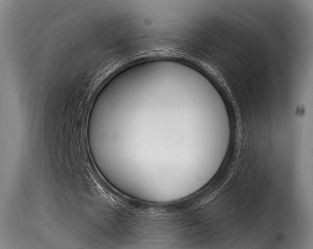 X0000116060481200911201204