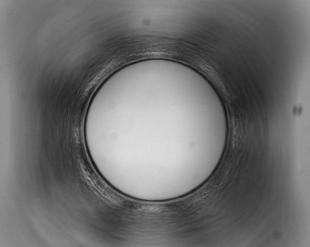 X0000116060482200911201204