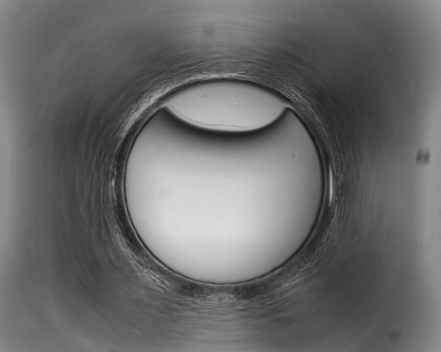X0000116060483200911201204