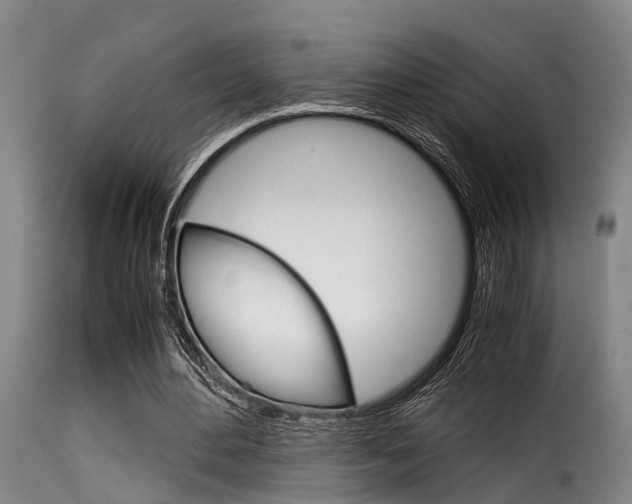 X0000116060484200911201204