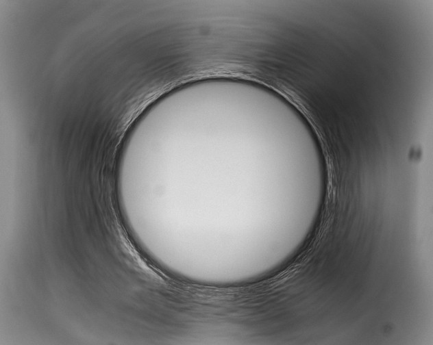 X0000116060485200911201204