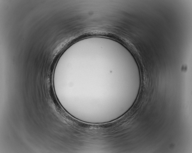 X0000116060487200911201204