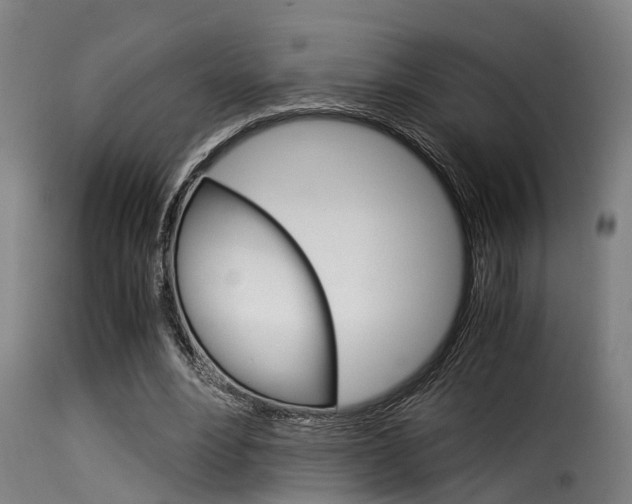 X0000116060488200911201204