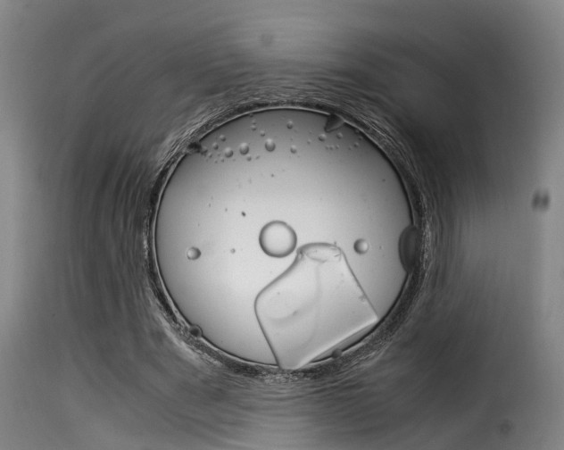 X0000116060489200911201204