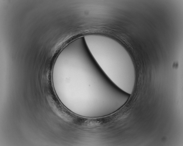 X0000116060491200911201204