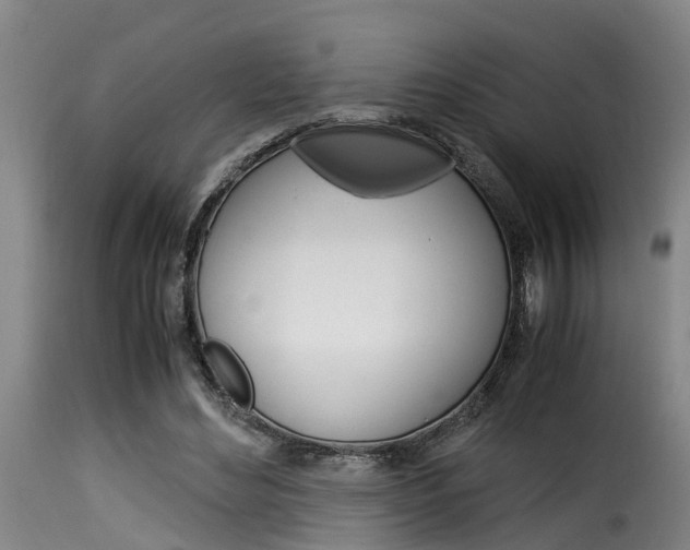 X0000116060492200911201204