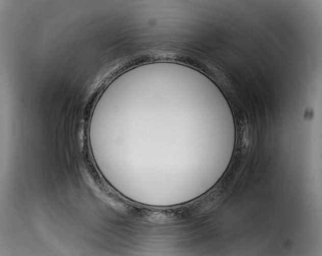 X0000116060494200911201204