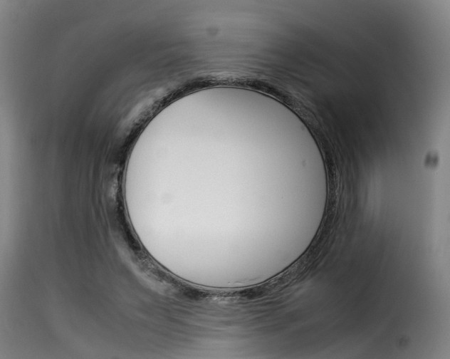 X0000116060495200911201204