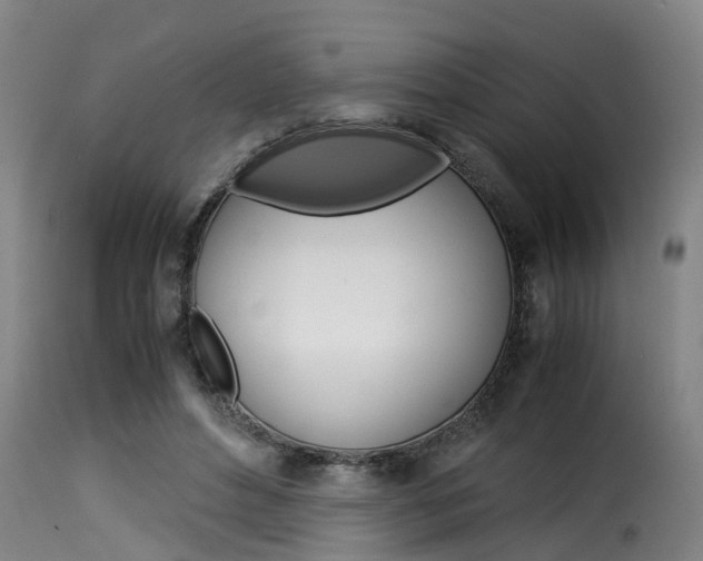 X0000116060496200911201204