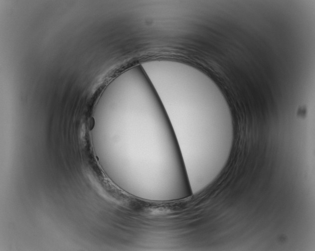 X0000116060500200911201204