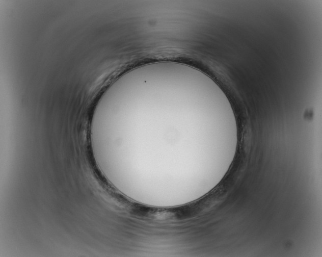 X0000116060501200911201204