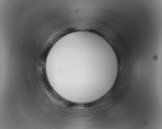 X0000116060503200911201204