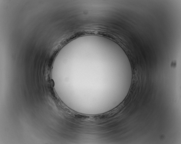X0000116060504200911201204