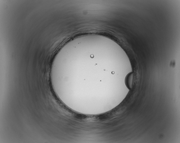 X0000116060505200911201204