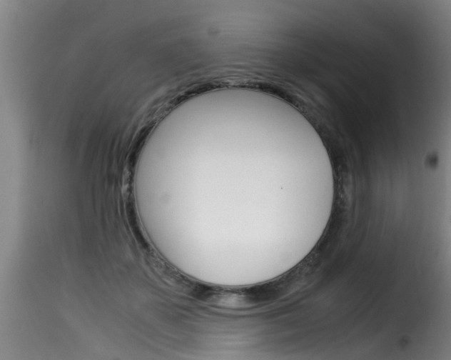 X0000116060507200911201204