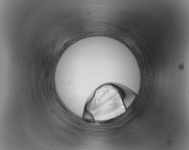 X0000116060509200911201204