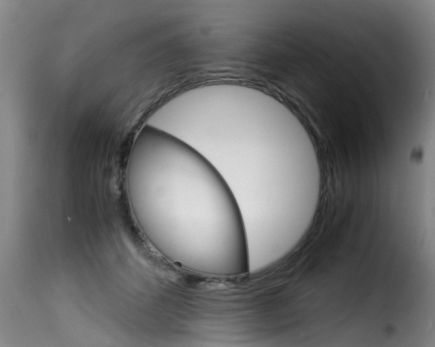 X0000116060512200911201204