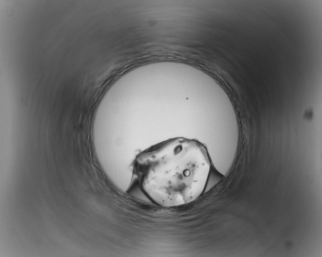 X0000116060513200911201204